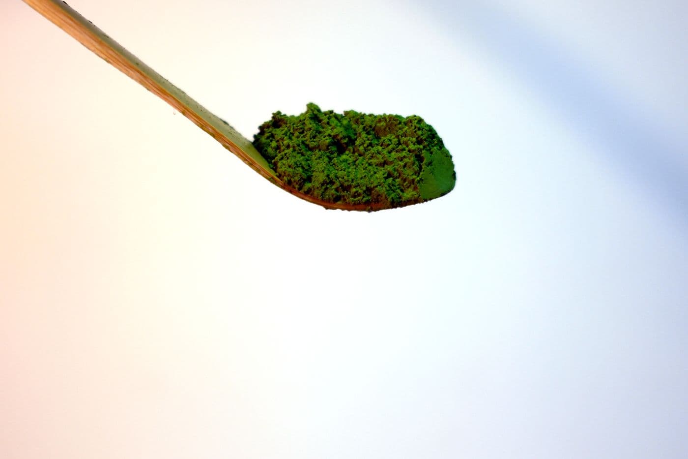 Bambusowa łyżeczka chashaku z proszkiem matcha